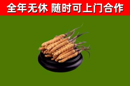 临渭回收冬虫夏草